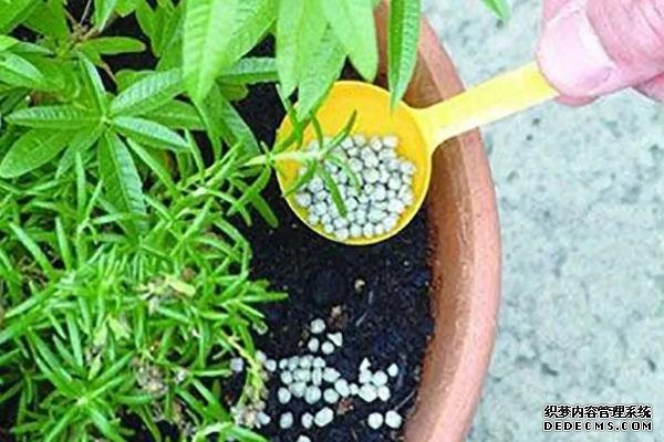 花卉施肥方法，不同種類對肥料的要求不同